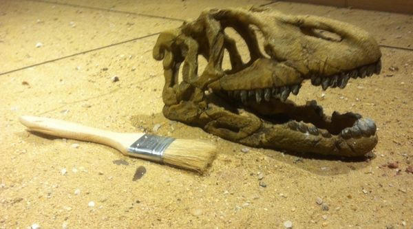 Almería Multiaventura Camp 