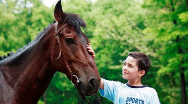 Aula Viajera: Encuentra campamentos Hípica