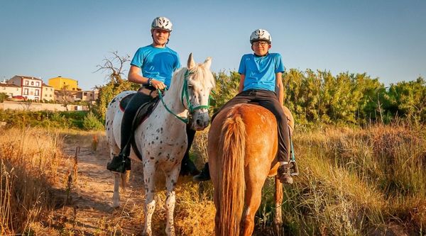 Campamento hípica Zaragoza (2)