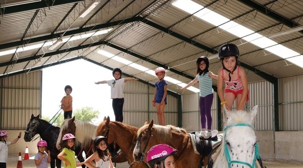 Campamento hípica Zaragoza (3)