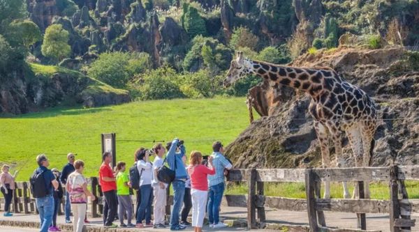 Excursión escolar al Parque de la Naturaleza de Cabárceno 