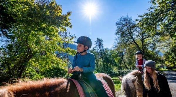 Experiencia educativa con caballos para escolares en la Comunidad de Madrid 