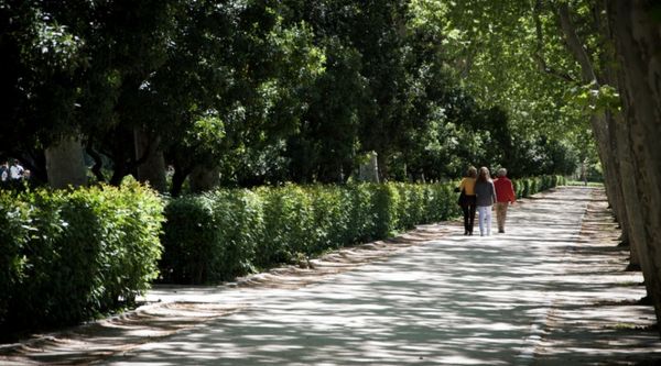 Gymkana para escolares en el Parque del Retiro (3)