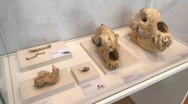 Talleres y actividades educativas en el Museo Bibat para primaria y secundaria (5)