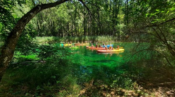 Viaje fin de curso Parque Natural del Alto Tajo (4)