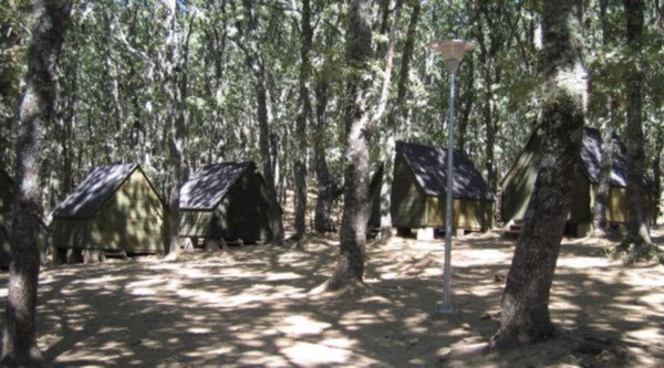 Viaje fin de curso Piélago (2)