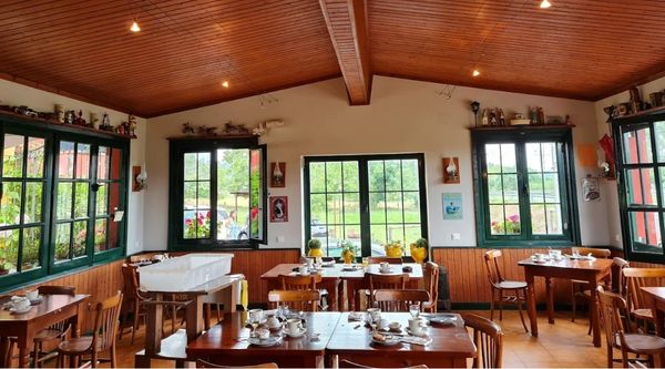 Viaje fin de curso Ribadesella (6)