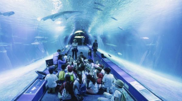 Viaje fin de curso en Oliva (2)