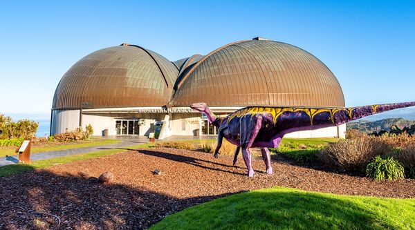 Visita el museo del Jurásico en Asturias para colegios (4)