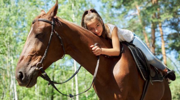 Programas adaptados a todos los ciclos en Álava 