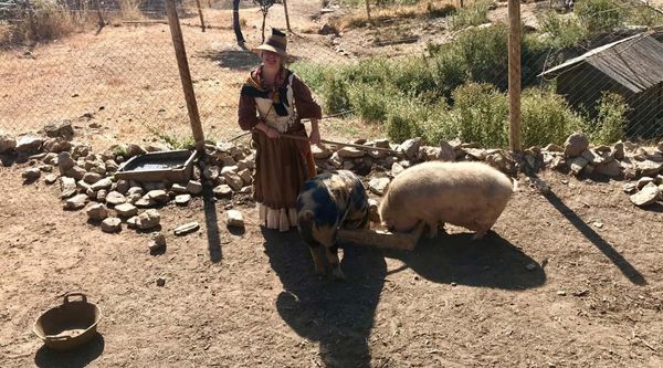 Excursiones para Infantil y Primaria en Badajoz 