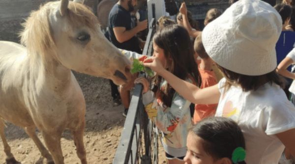 Actividades educativas para Bachillerato en Gran Canaria 