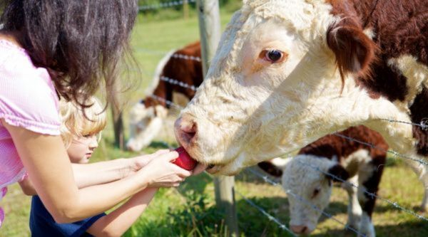 Programas adaptados a todos los ciclos en Albacete 
