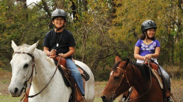 Programas adaptados a todos los ciclos en Málaga