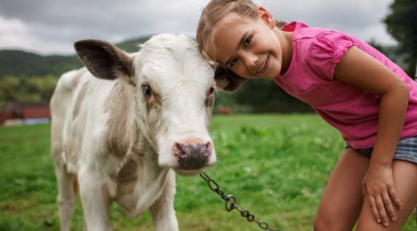 Programas adaptados a todos los ciclos en Murcia 