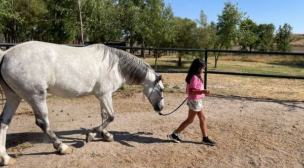 Salidas escolares para Secundaria y ESO en Castellón 