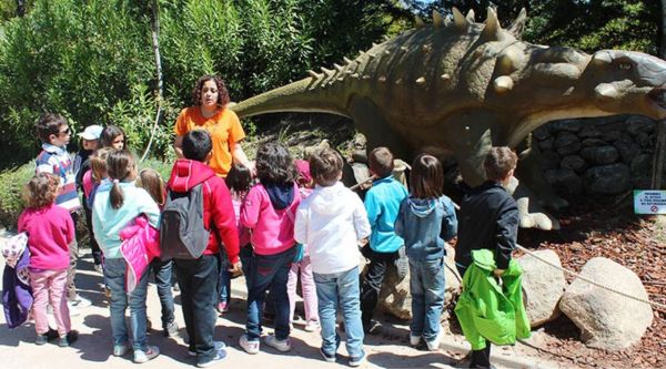 Visitas culturales para colegios en Ourense 