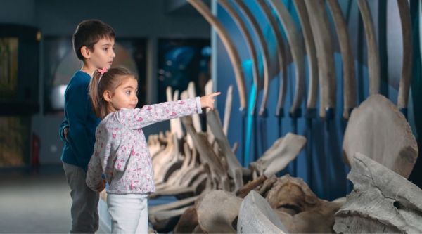 Excursiones de arte e historia en Teruel 