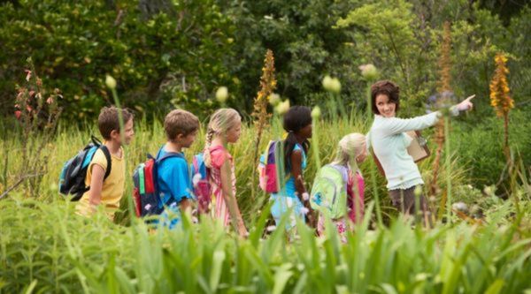 Visitas educativas para centros en Gran Canaria 